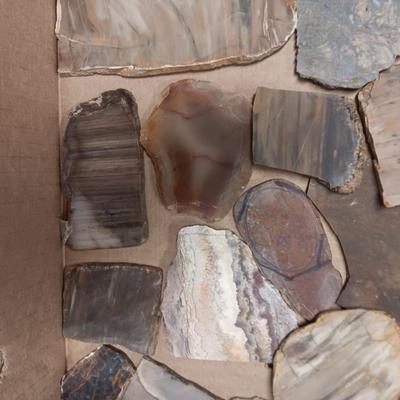 LAPIDARY SLABS (2)