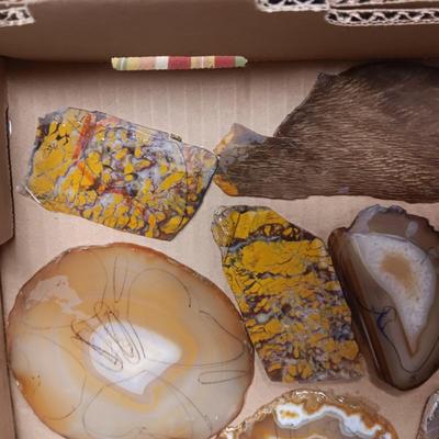 LAPIDARY SLABS (3)