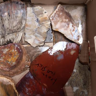 LAPIDARY SLABS (4)