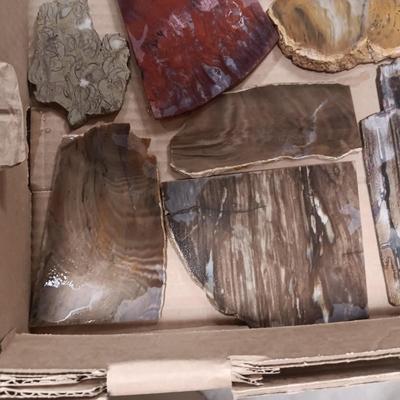 LAPIDARY SLABS (4)