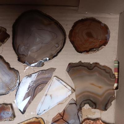 LAPIDARY SLABS (5)