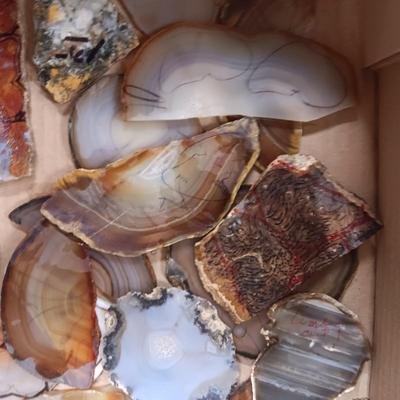 LAPIDARY SLABS (5)