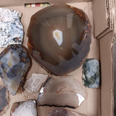 LAPIDARY SLABS (5)