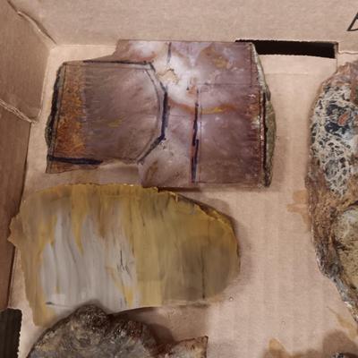 LAPIDARY SLABS (6)