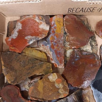 LAPIDARY SLABS (6)