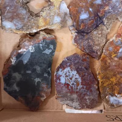 LAPIDARY SLABS (6)