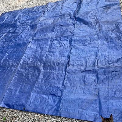 8x10 tarp
