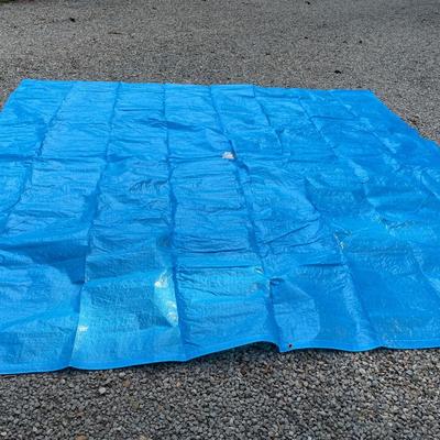 8x10 tarp