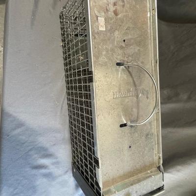 Animal trap