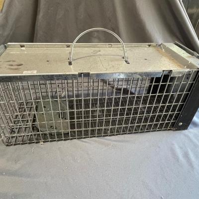 Animal trap