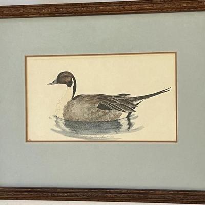 Sally Hewitt L.Ed. Mallard Lithograph 86/350