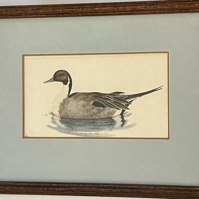 Sally Hewitt L.Ed. Mallard Lithograph 86/350