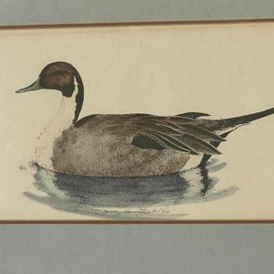 Sally Hewitt L.Ed. Mallard Lithograph 86/350