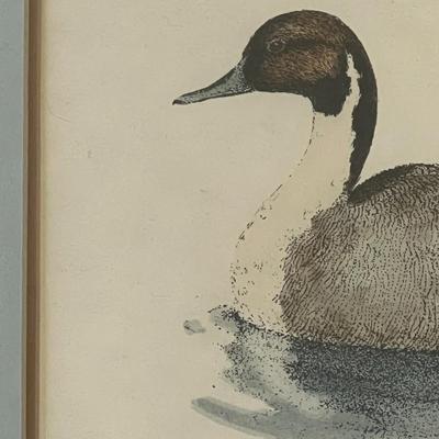Sally Hewitt L.Ed. Mallard Lithograph 86/350
