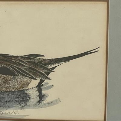 Sally Hewitt L.Ed. Mallard Lithograph 86/350
