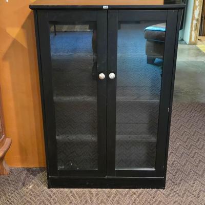 Storage/Book Cabinet