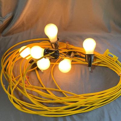 Lights and electric cord