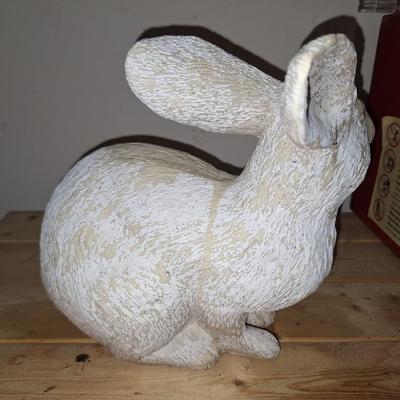 Rabbit