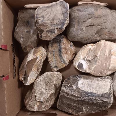LARGER ROCKS (4)