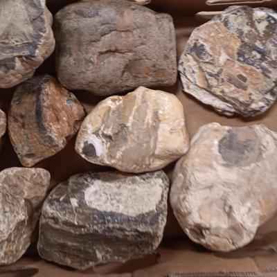 LARGER ROCKS (4)