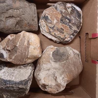 LARGER ROCKS (4)