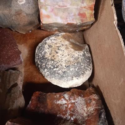 LARGER ROCKS (7)