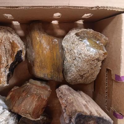 LARGER ROCKS (8)