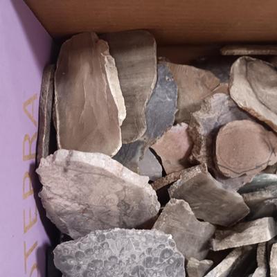 LAPIDARY SLABS (17)