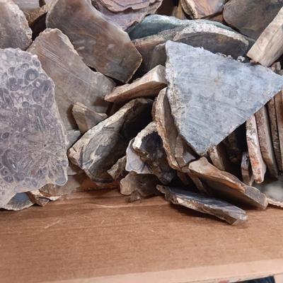 LAPIDARY SLABS (17)