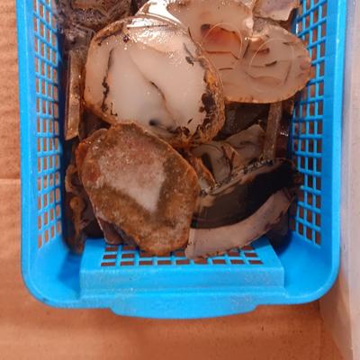 SMALLER LAPIDARY SLABS
