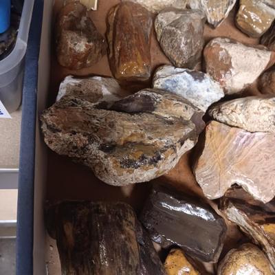 MEDIUM SIZE ROCKS (4)