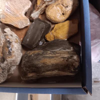 MEDIUM SIZE ROCKS (4)