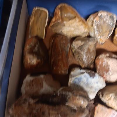 MEDIUM SIZE ROCKS (4)