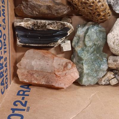 MEDIUM SIZE ROCKS (5)