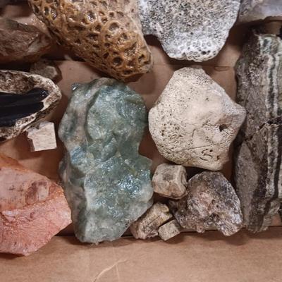 MEDIUM SIZE ROCKS (5)