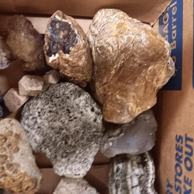 MEDIUM SIZE ROCKS (5)