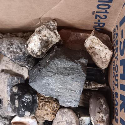 MEDIUM SIZE ROCKS (5)