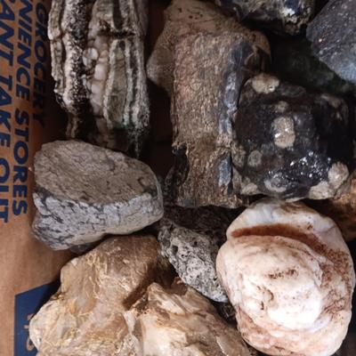 MEDIUM SIZE ROCKS (5)