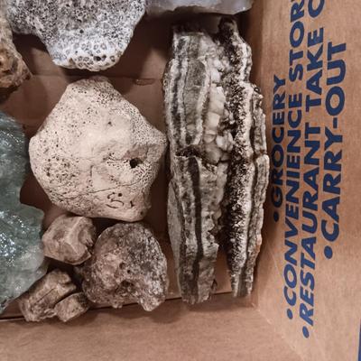 MEDIUM SIZE ROCKS (5)
