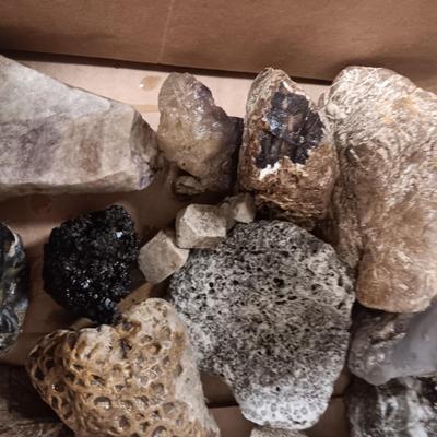 MEDIUM SIZE ROCKS (5)