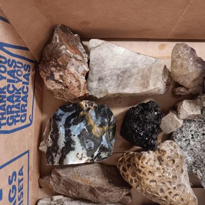 MEDIUM SIZE ROCKS (5)