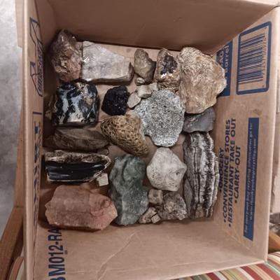 MEDIUM SIZE ROCKS (5)