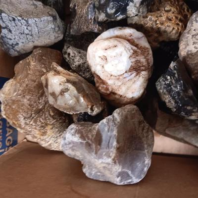 MEDIUM SIZE ROCKS (5)