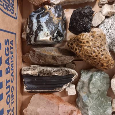 MEDIUM SIZE ROCKS (5)