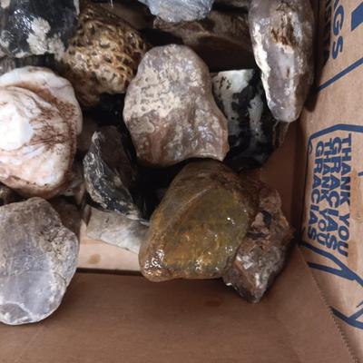 MEDIUM SIZE ROCKS (5)
