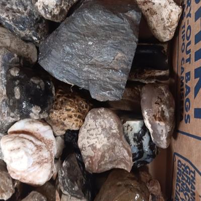 MEDIUM SIZE ROCKS (5)