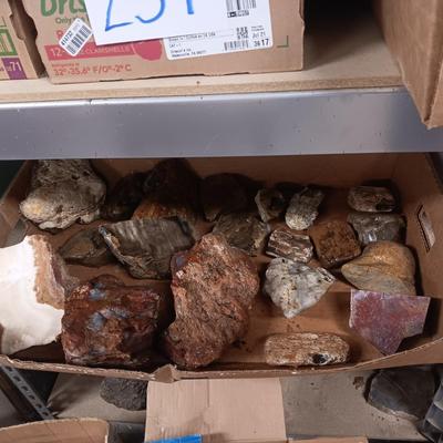 MEDIUM - LARGER ROCKS (1)