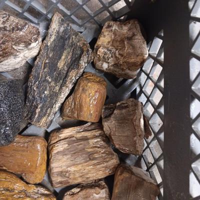 MEDIUM SIZE ROCKS (7)