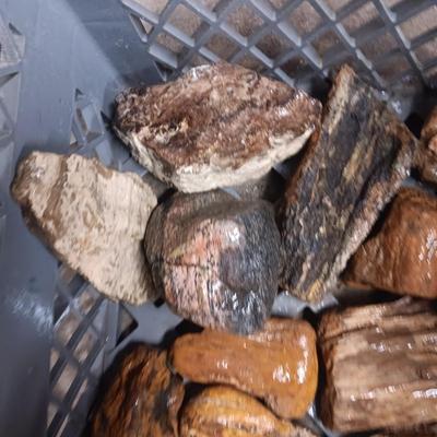 MEDIUM SIZE ROCKS (7)