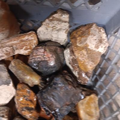 MEDIUM SIZE ROCKS (7)